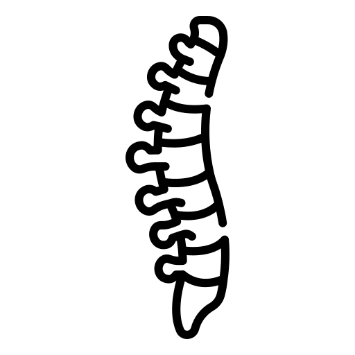MRI Dorsal Spine